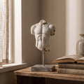 Atelier Torso Sculpture in a home setting